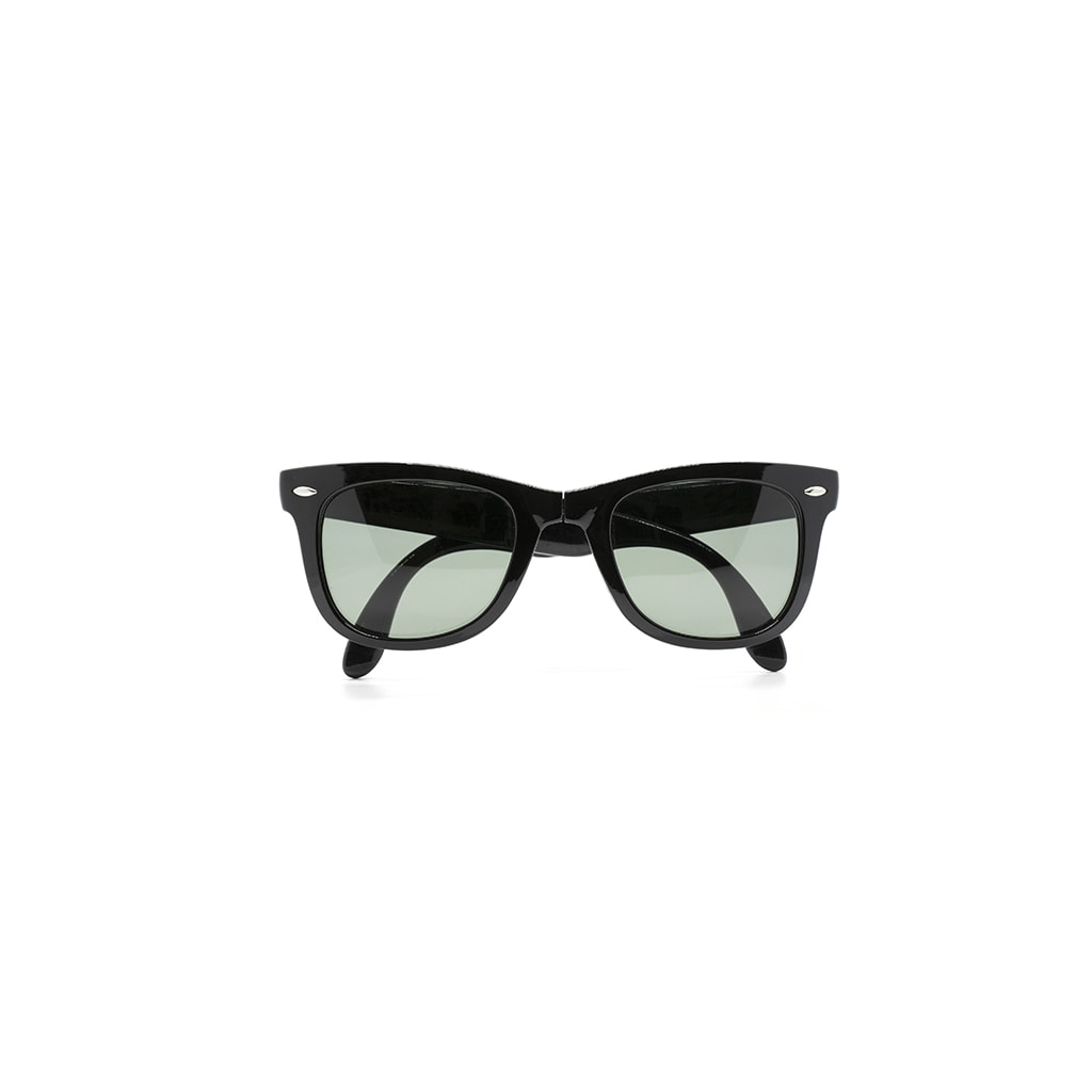 Basic Wayfarer Sunglasses