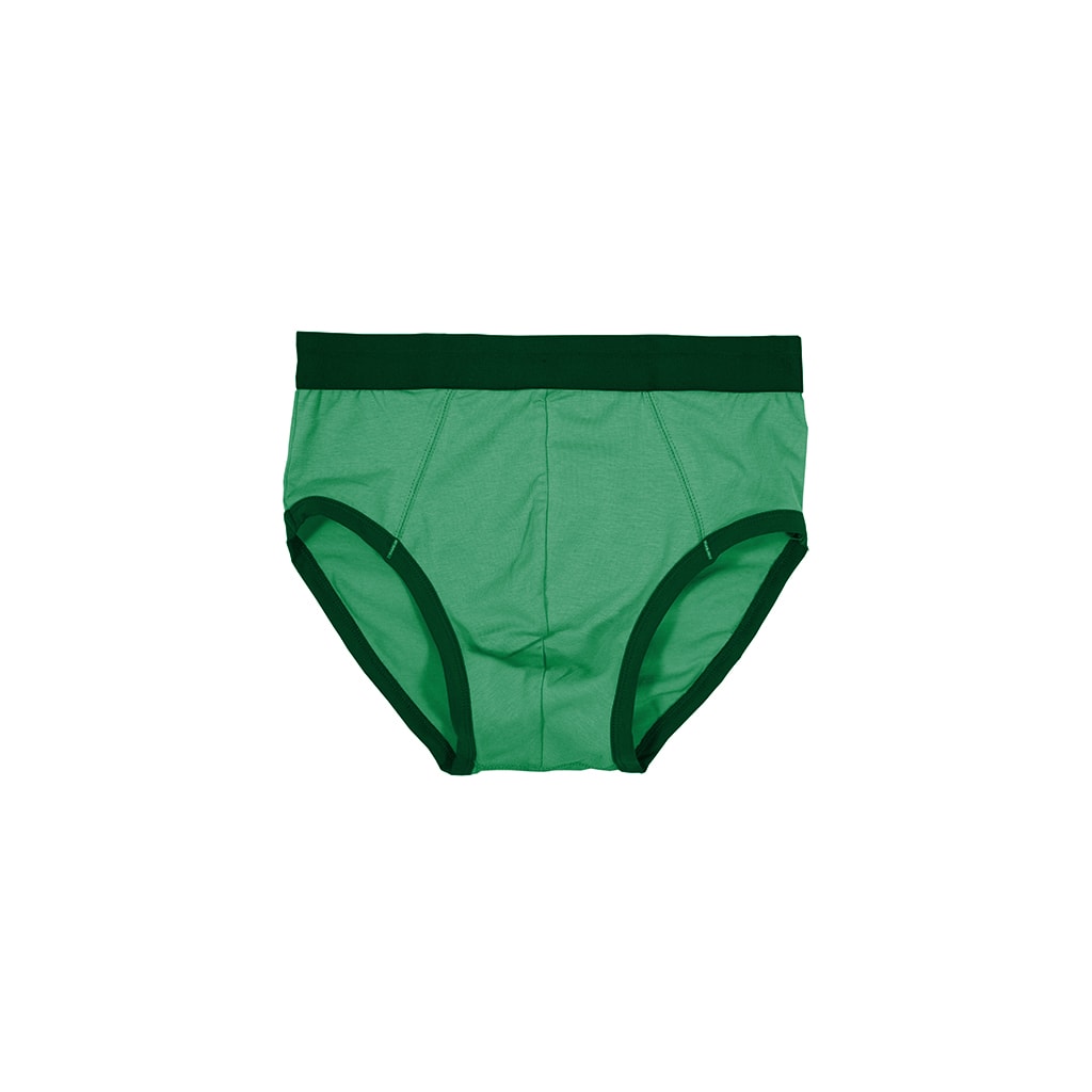 Buy green Snug Fit Briefs
